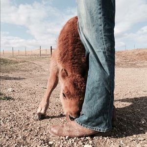 Meet your Posher, Nic